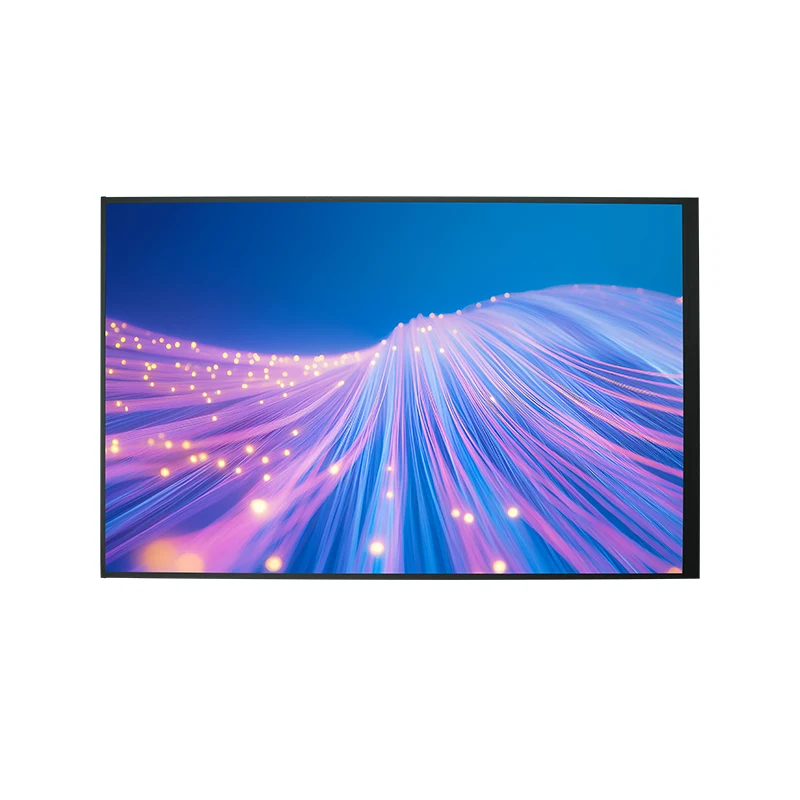 10.1 'Plačiakampio HD TFT LCD ekrano modulis