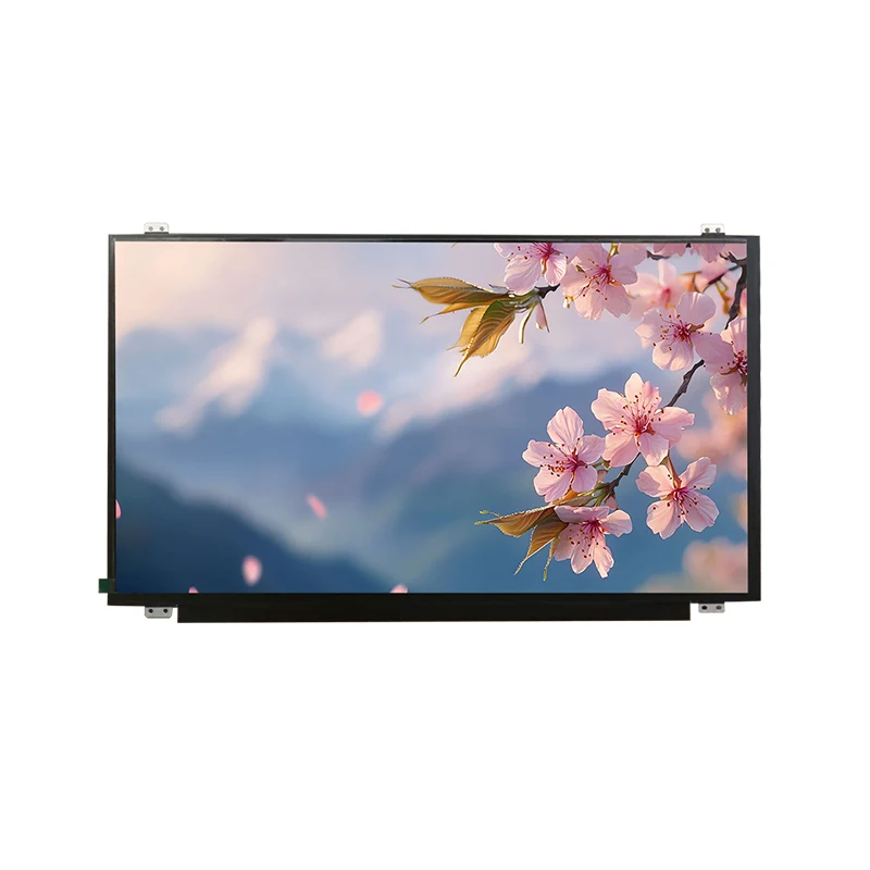 15.6 'HD Wide temp IPS TFT LCD ekrano modulis