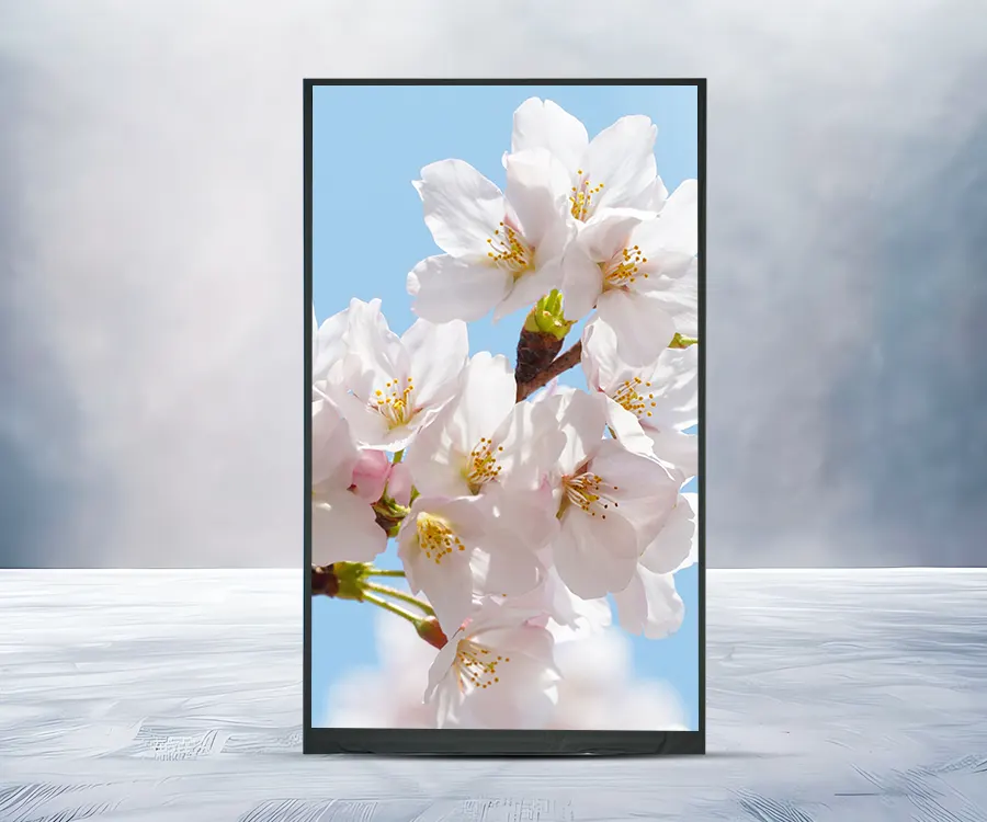 HD TFT LCD ekranas