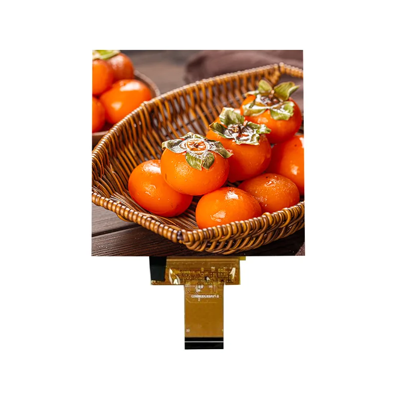 3,95 colio RGB480X480 apsaugos nuo akinimo IPS elemento jutiklinio ekrano modulis