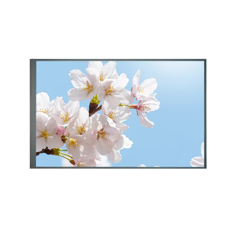 8,0 colio paprastai atgal TFT IPS TFT LCD ekrano modulis